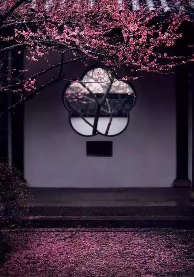這樣的院子，只有中國人駕馭得了它！