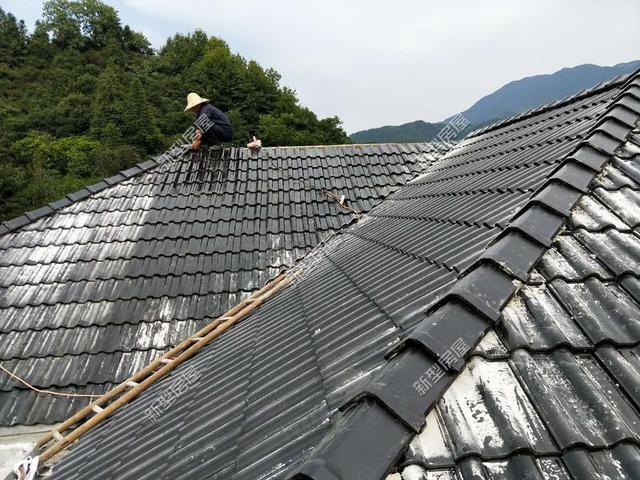 30元一平的樹脂瓦省錢又耐用？網友：吃飽沒事干，用一年就得換